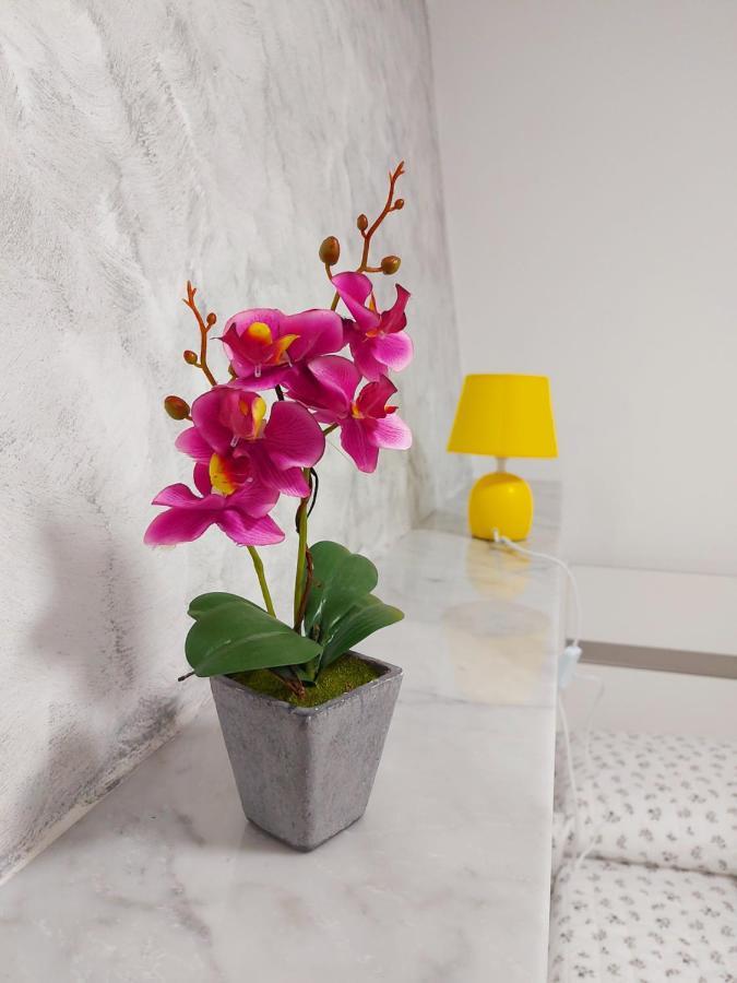 Ad 3 Bagno Privato Genova